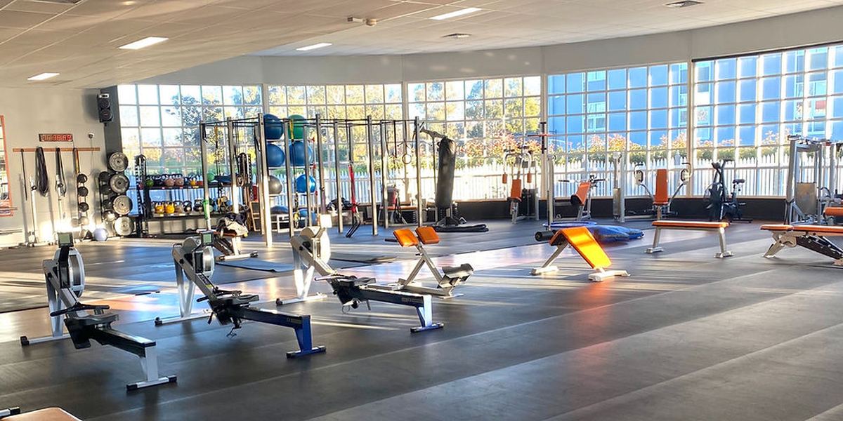 Alive! Health & Fitness