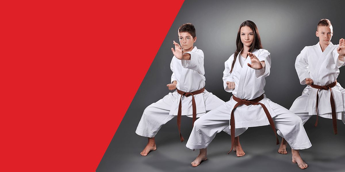 Wado-Ryu of Japan Karate
