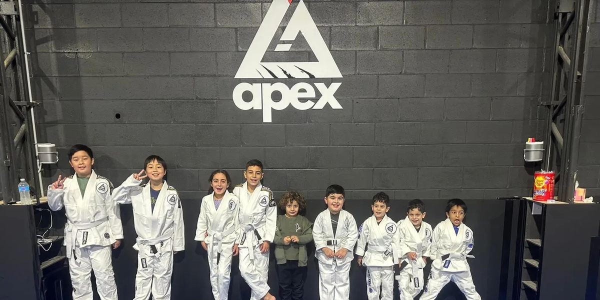 Apex BJJ