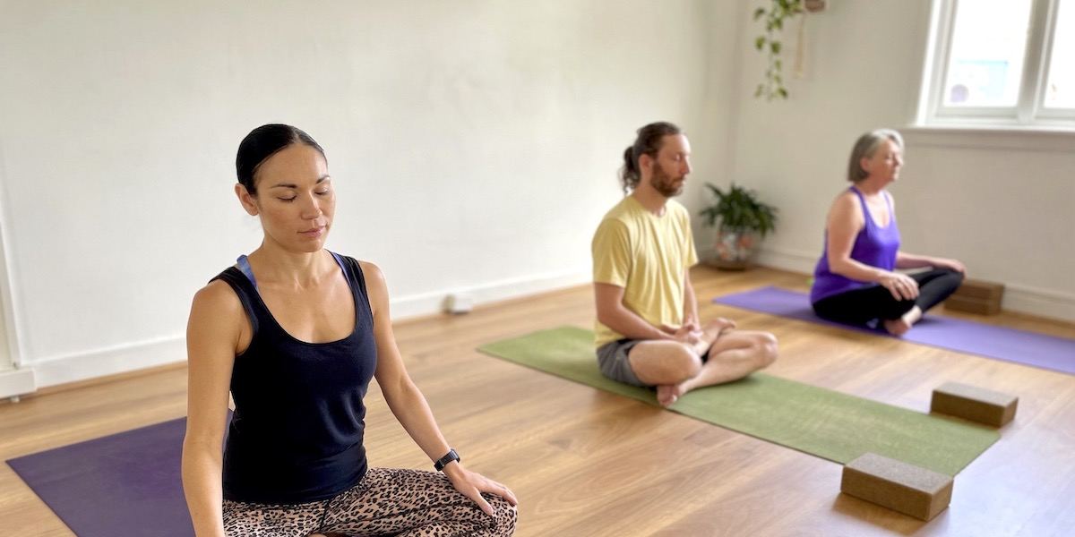 Living Flow Yoga Ashfield