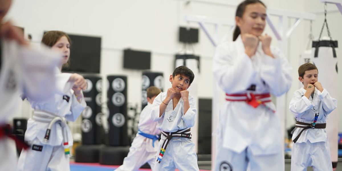Martial Arts Spirit