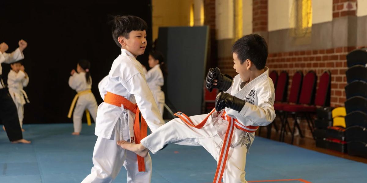 Tiger Spirit Karate Academy