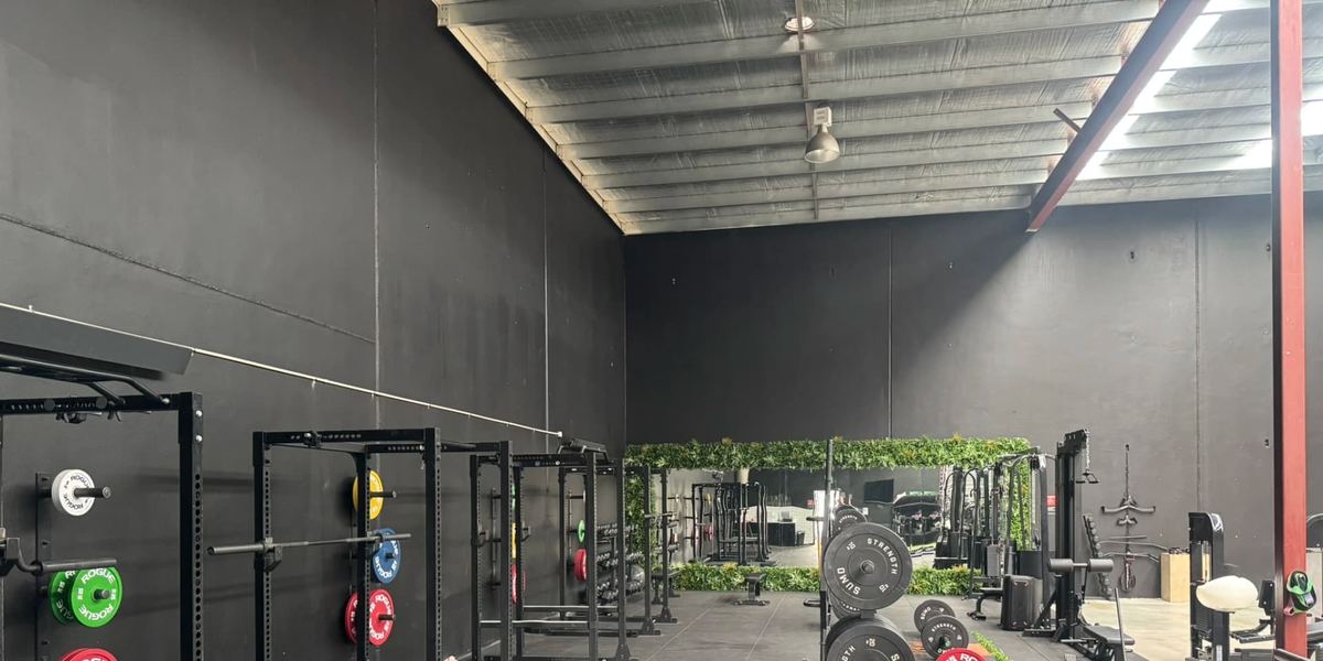 Iron Jungle