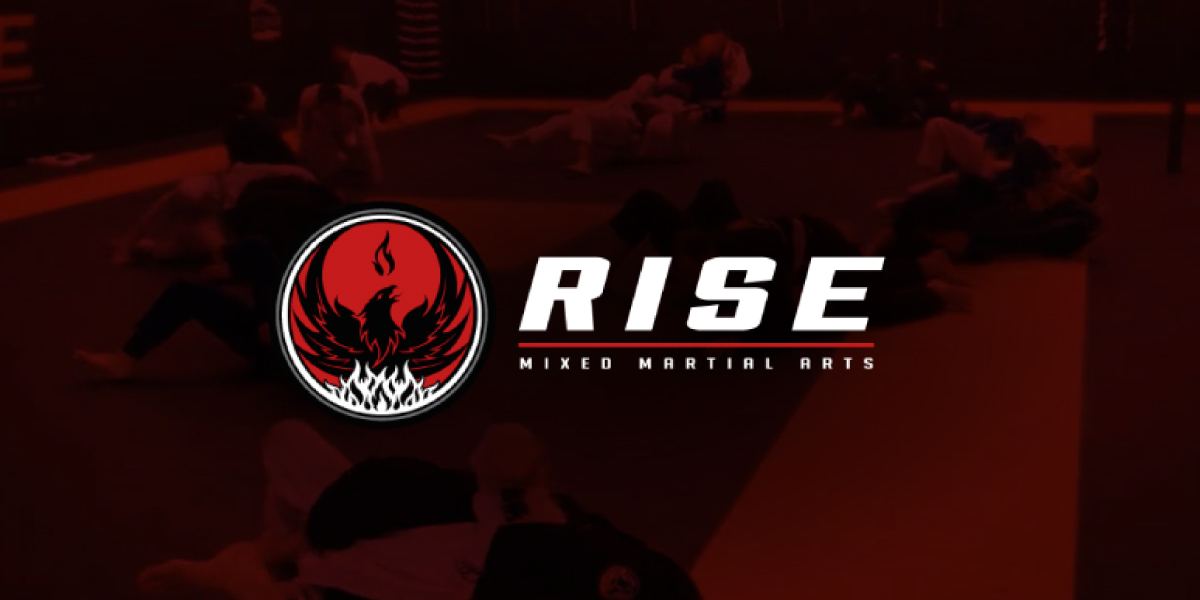 Rise Mixed Martial Arts