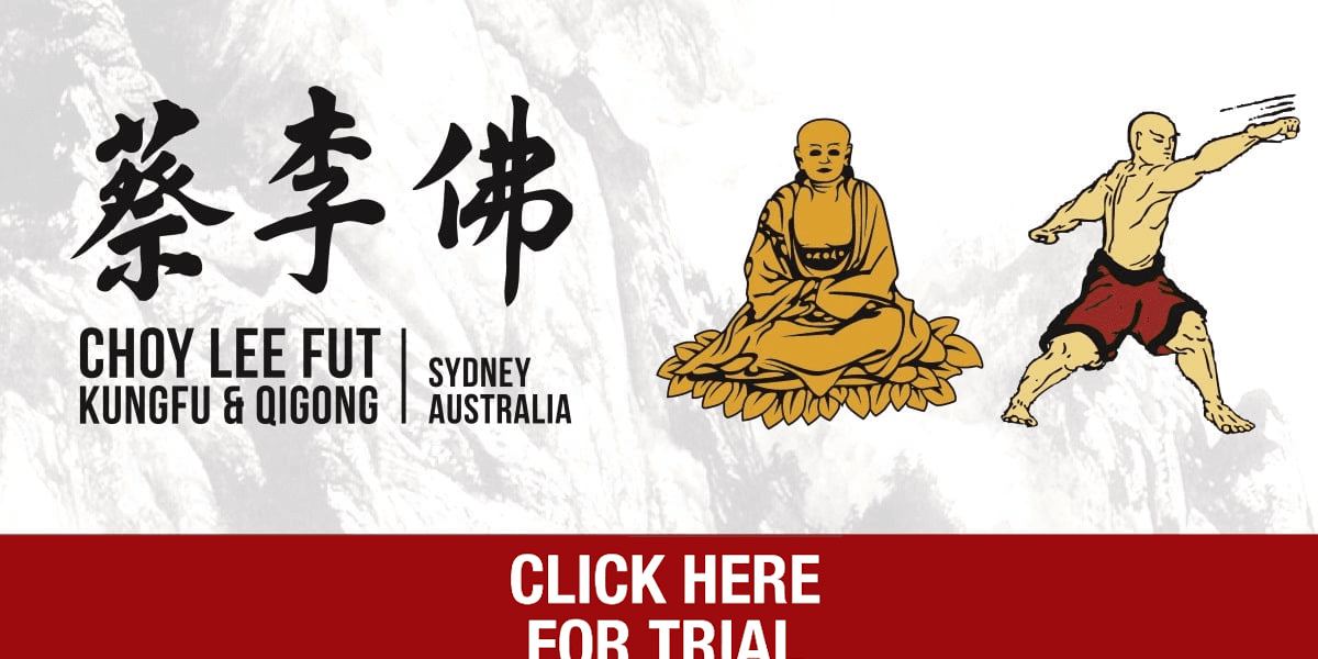 Choy Lee Fut Kung Fu and Qigong