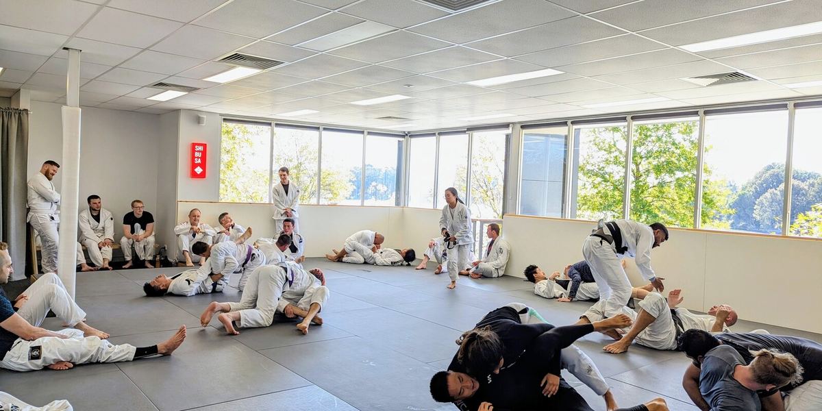 Shibusa Jiu Jitsu Studio