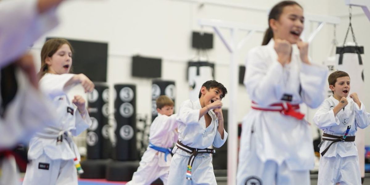 Martial Arts Spirit