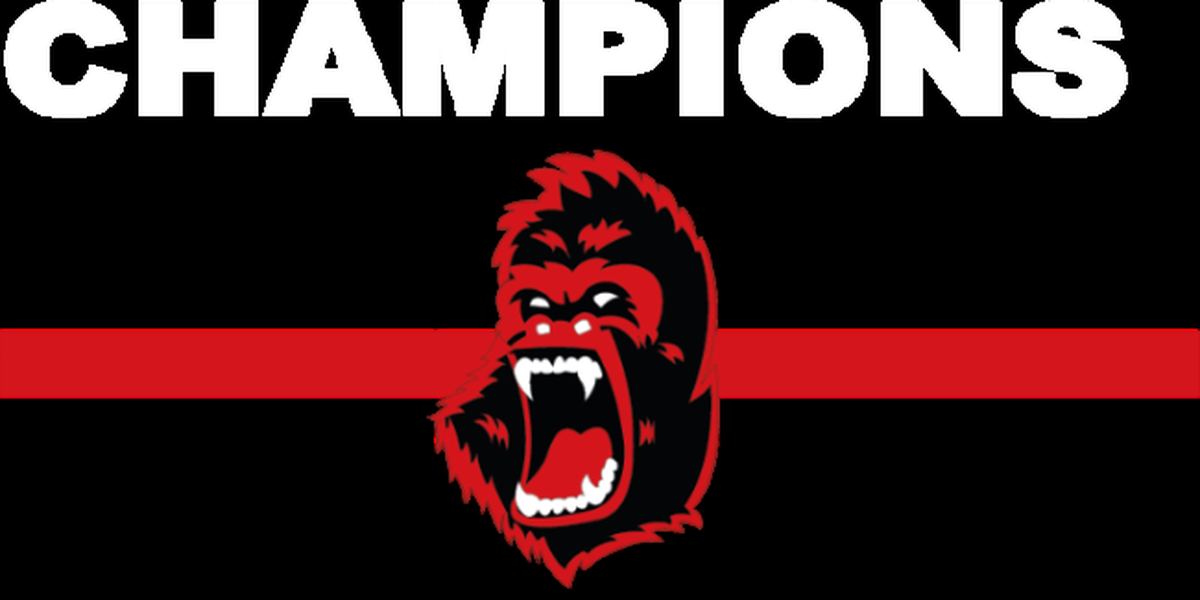 Champions Boxing and Fitness