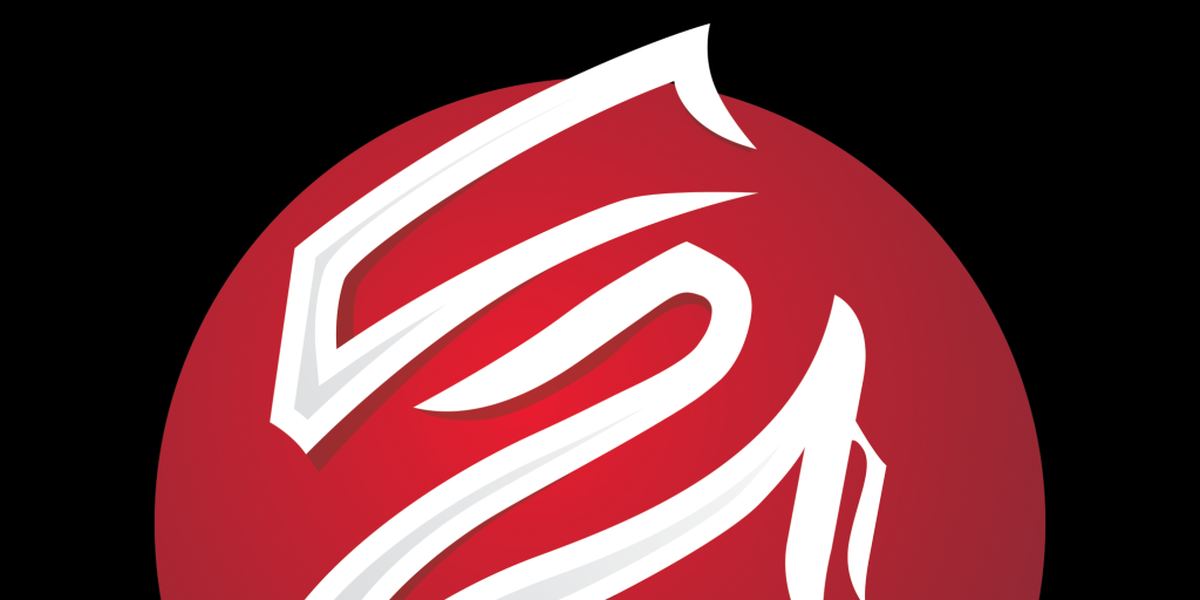 C2 Martial Arts