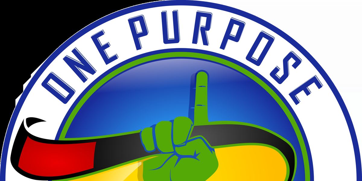 One Purpose Brazilian Jiu-Jitsu
