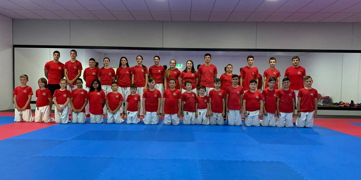 Yoseikan-Ryu Karate - Full time dojo
