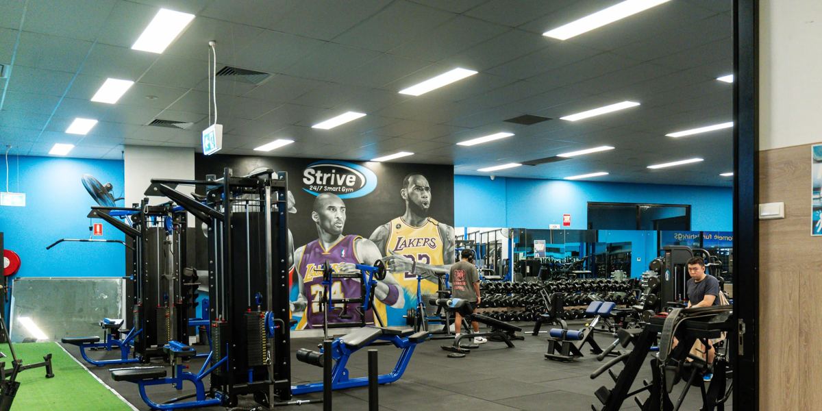 Strive Fitness