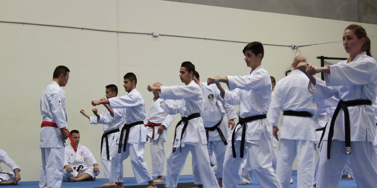 Miyagi Kan Karate Dojo