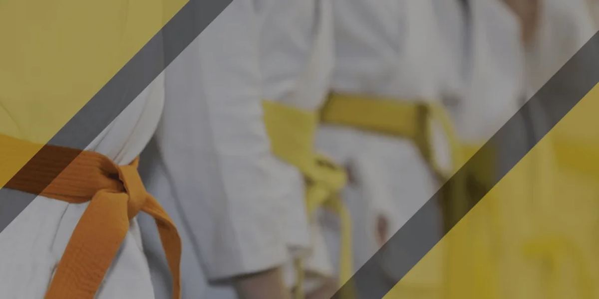 Zeus International Martial Arts Academy