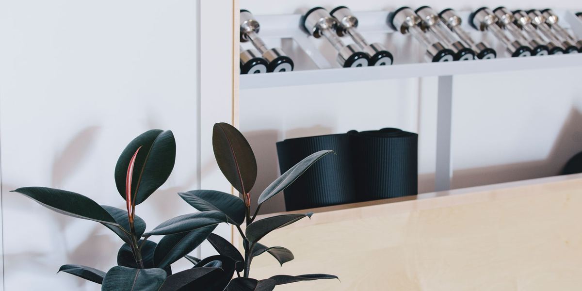 Q Pilates Indooroopilly
