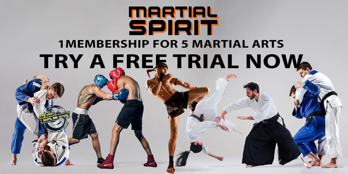 Martial Spirit