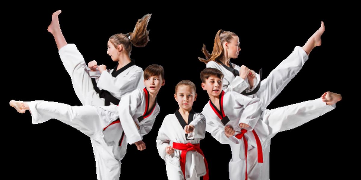 Edge Taekwondo Charters Towers