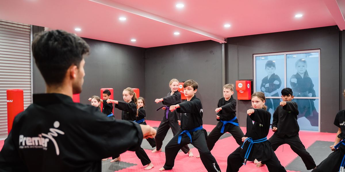 Premier Martial Arts and Fitness