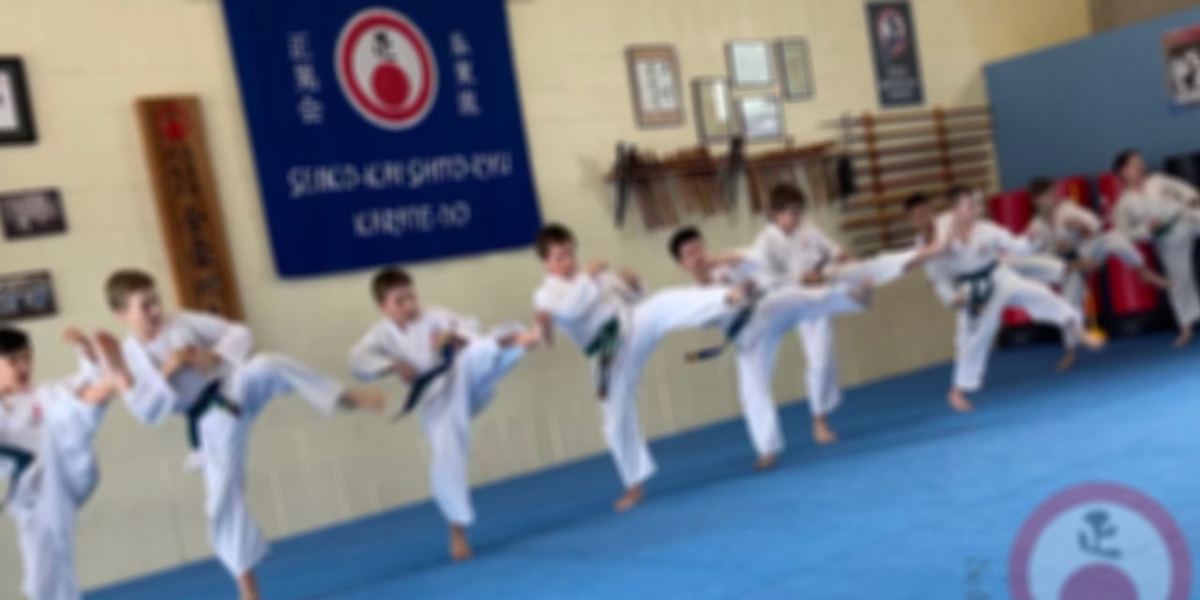 Seiko-Kai Karate Centre