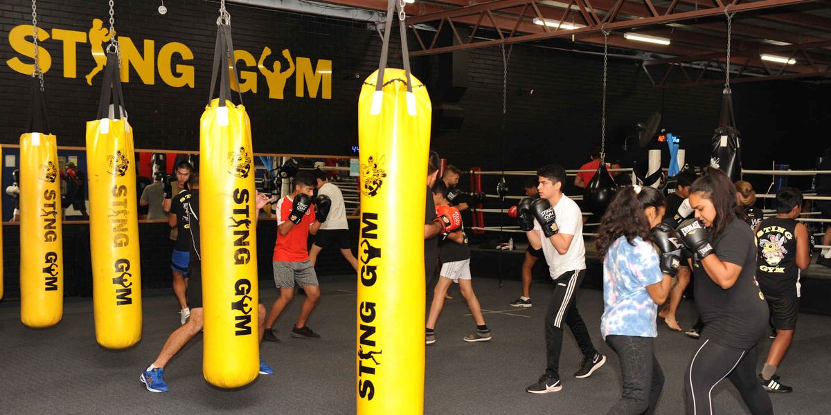 Sting Gym Frankston
