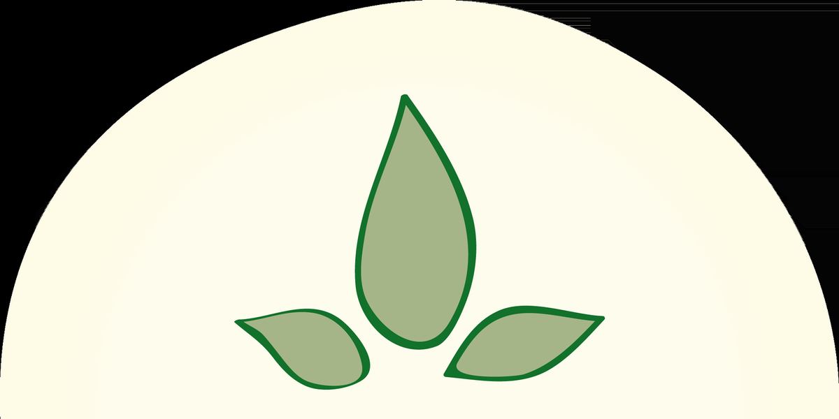 Jeeva Yoga Studio