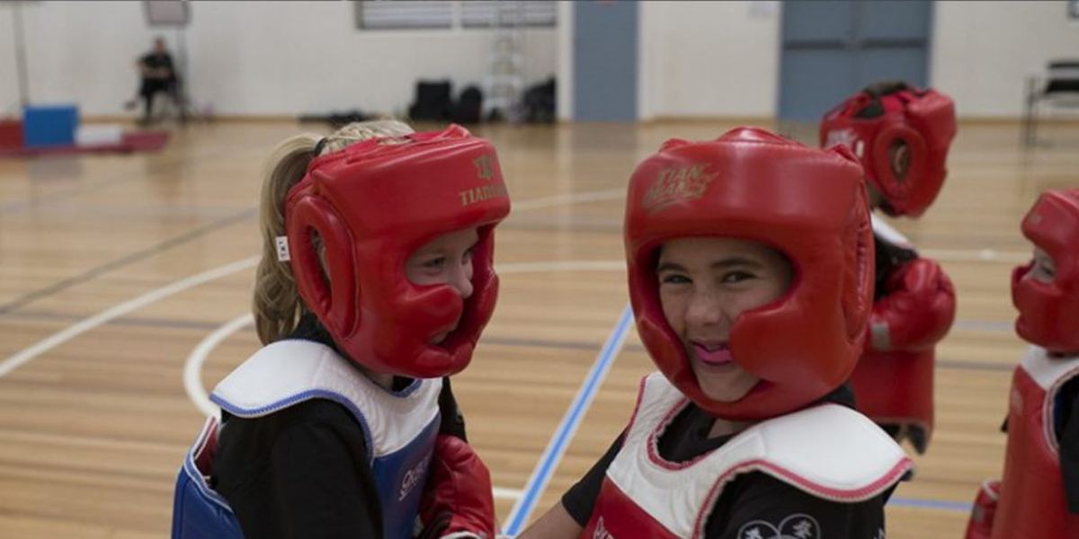 Black Lion Martial Arts
