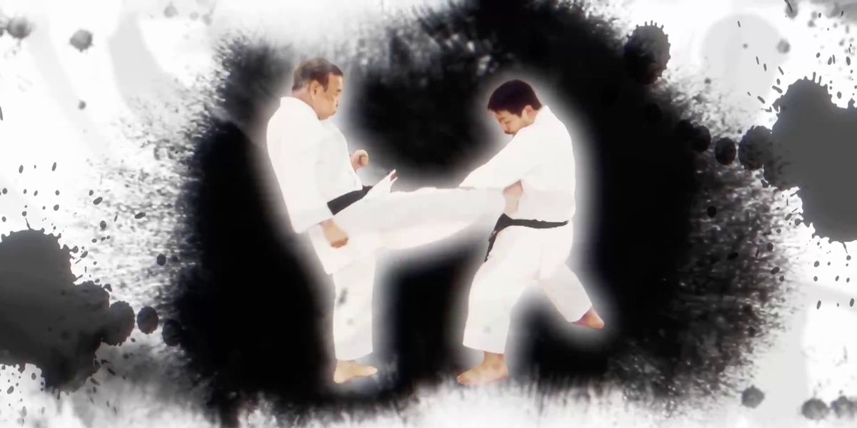 Wood Dojo