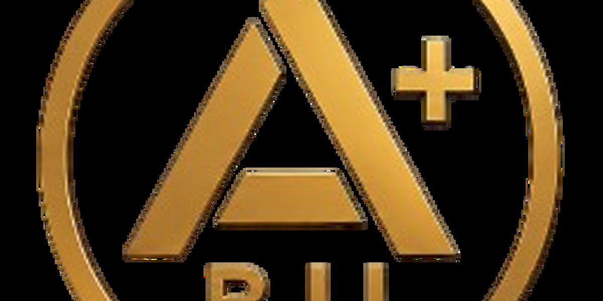 Aplusbjj Academy
