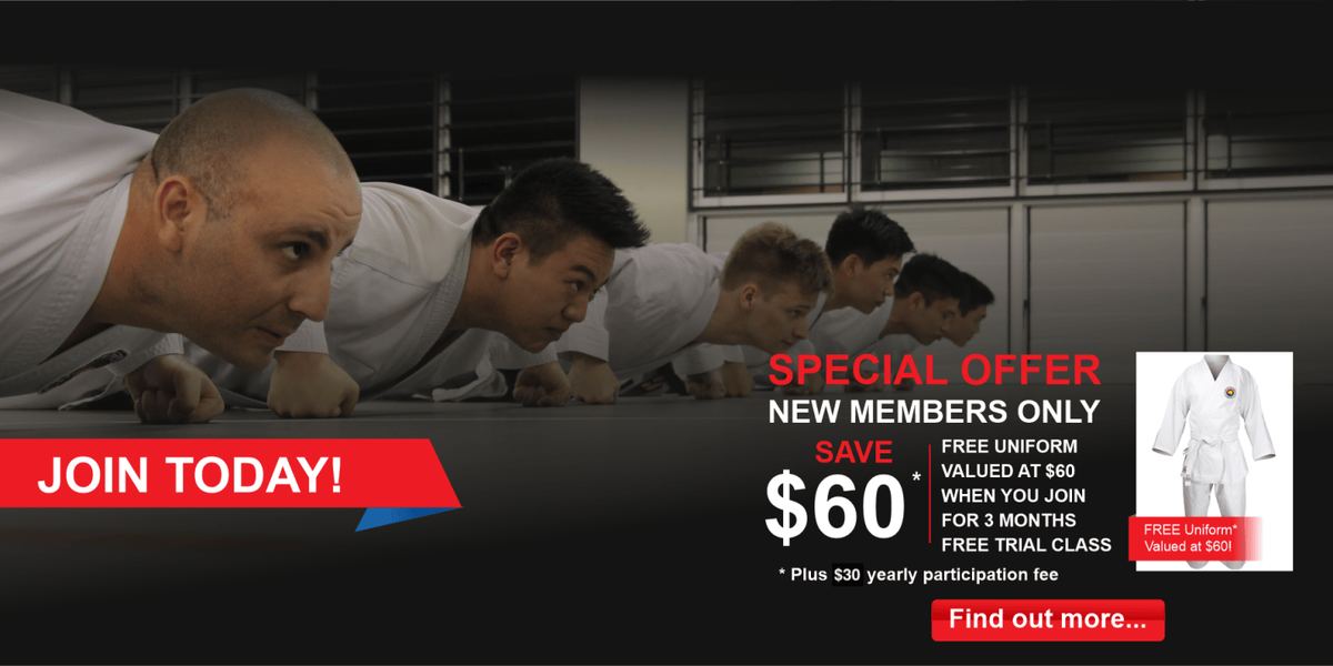 Moon Lee Taekwondo