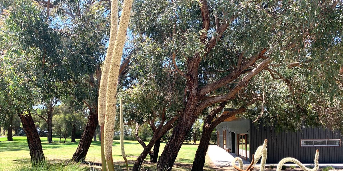 Silver Leaf Yoga