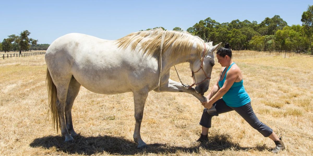 Yoga on the Farm