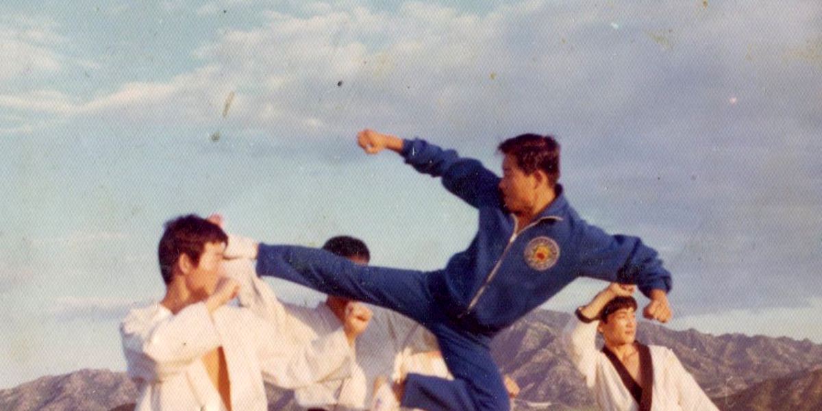 Lee's Taekwondo Academy
