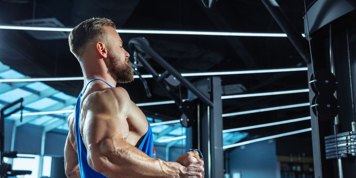 BodyBlitz Fitness