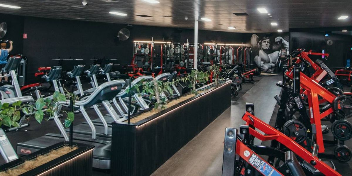 World Gym Malaga 24/7