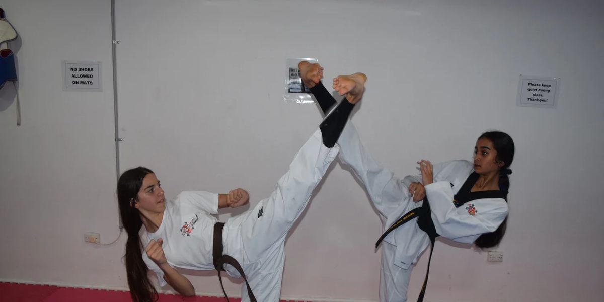 Red Dragon Taekwondo Pty Ltd Baulkham Hills