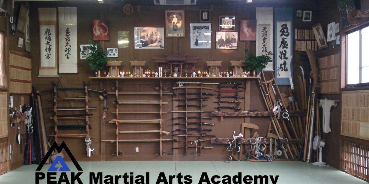 Bujinkan North Brisbane Dojo