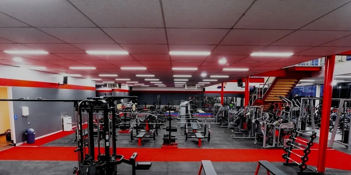 Training Day Gym Clayton