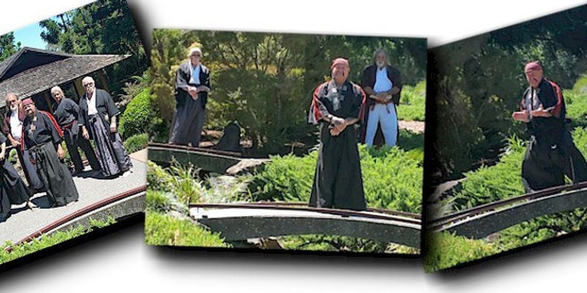 Anderson Bushi Kai