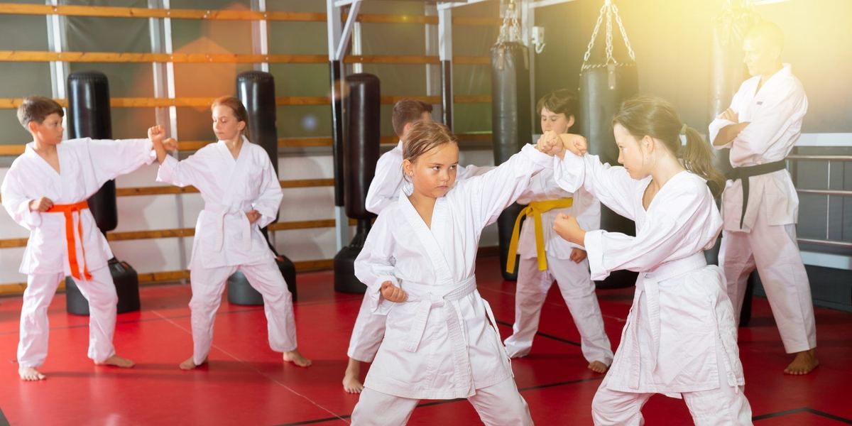 Shinwa-kai Karate Club Australia