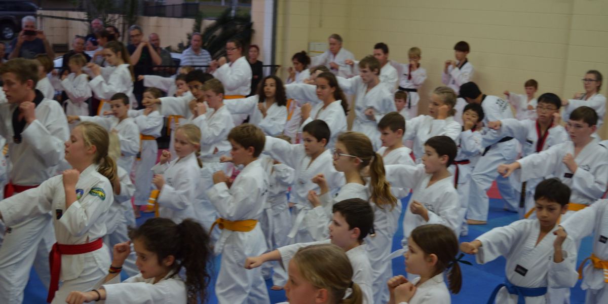San Taekwondo Training Centre
