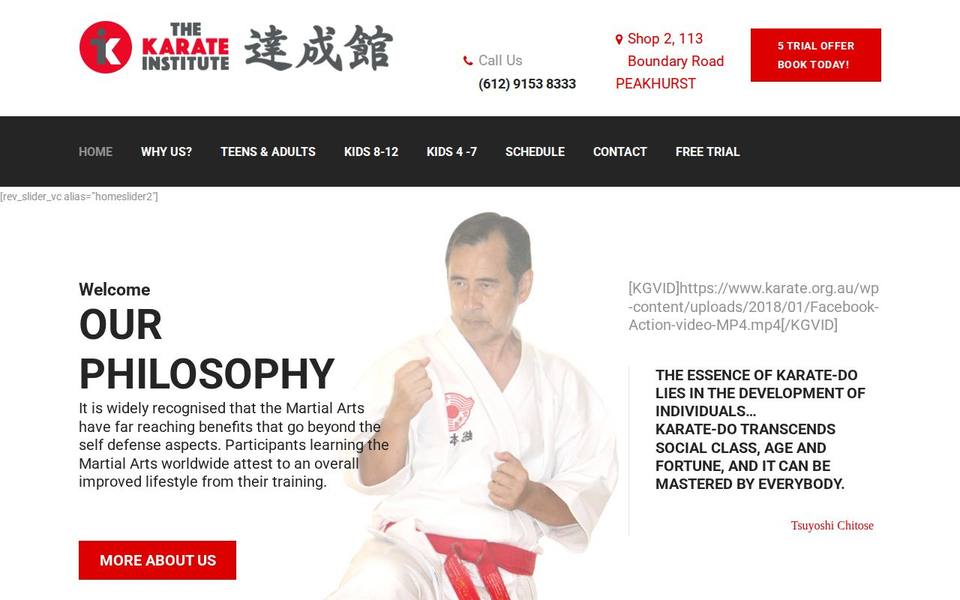 The Karate Institute website