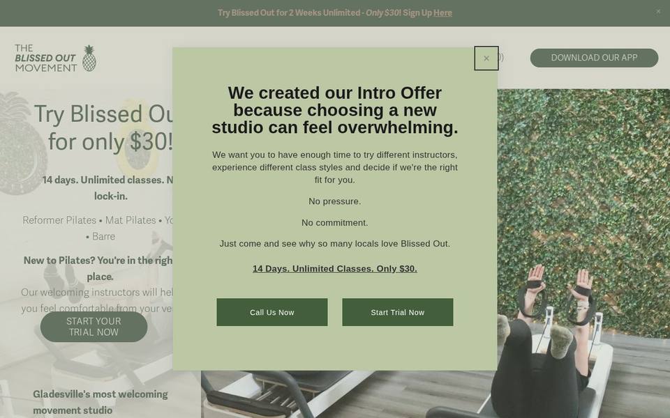 The Blissed Out Movement website