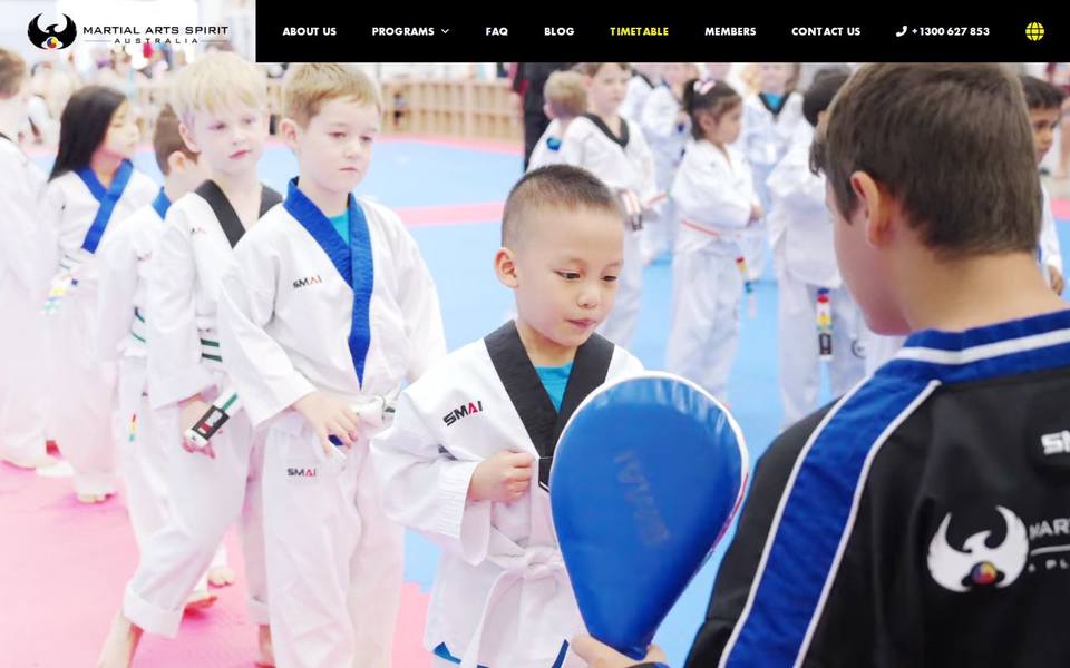Martial Arts Spirit website