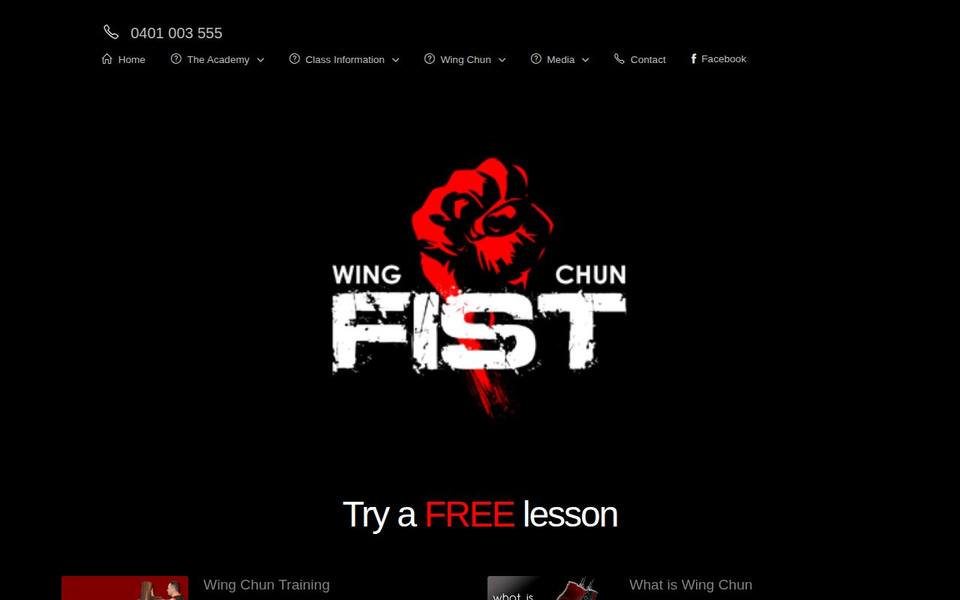 Wing Chun Fist website