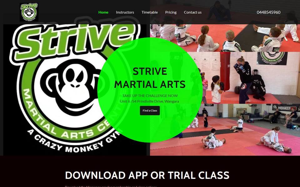 Strive Martial Arts Centre website