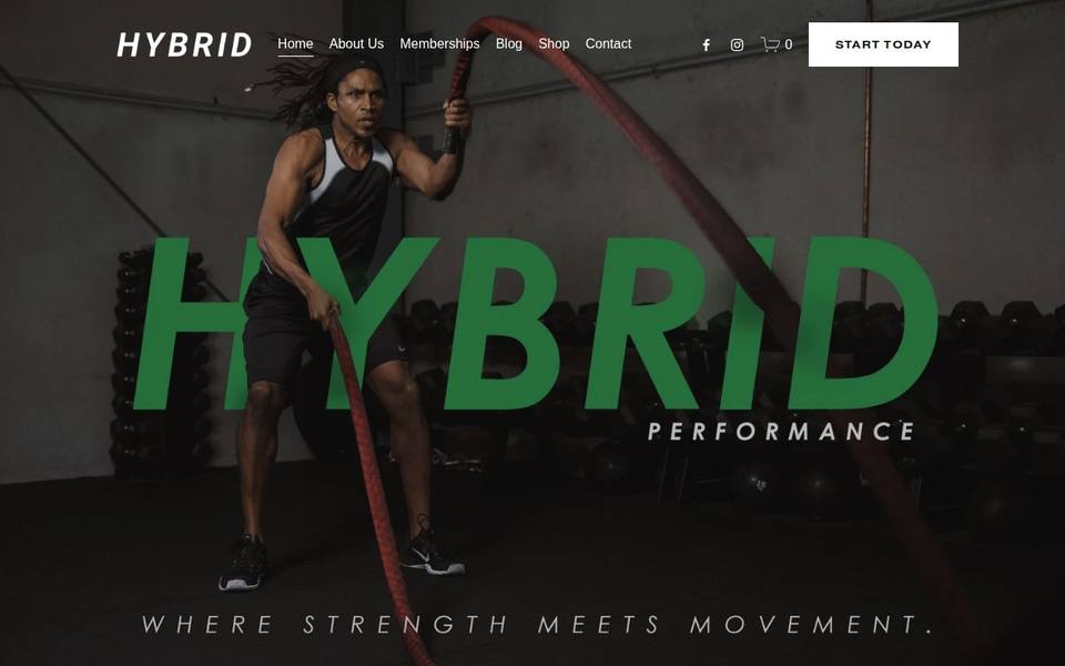 Hybrid Performance website
