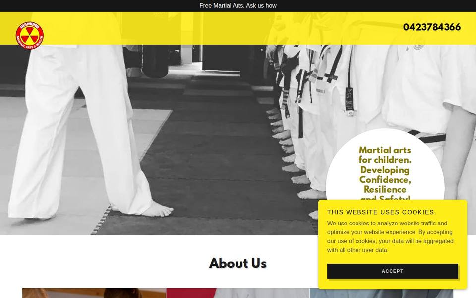 Diamond Martial Arts and Health website