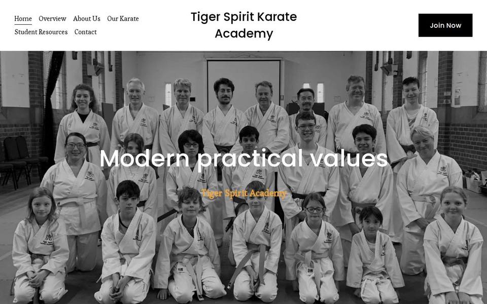 Tiger Spirit Karate Academy website
