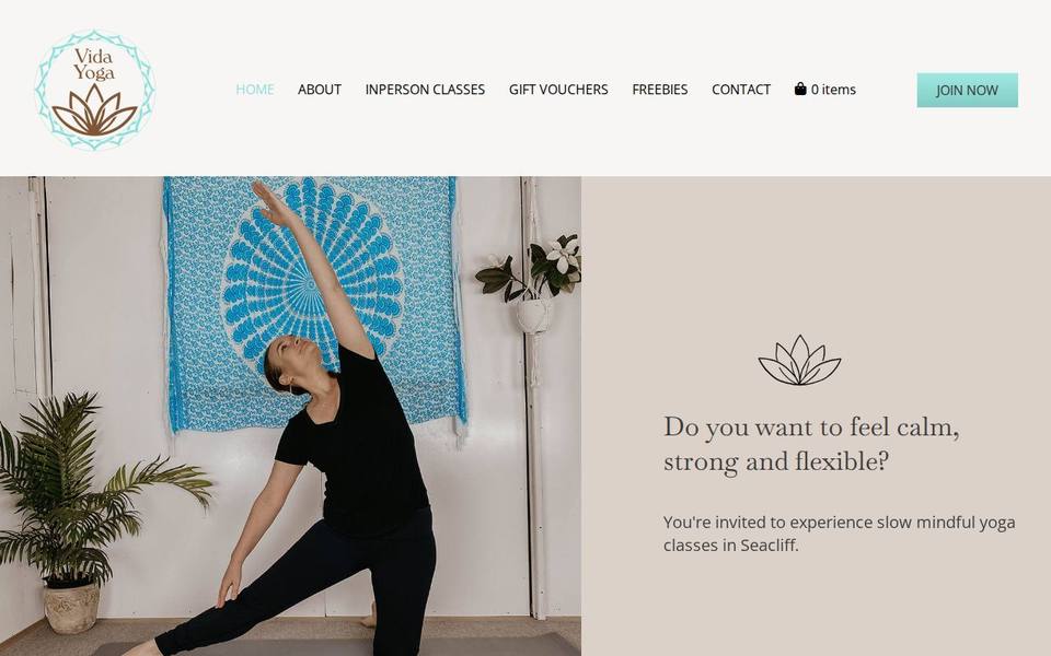 Vida Yoga website