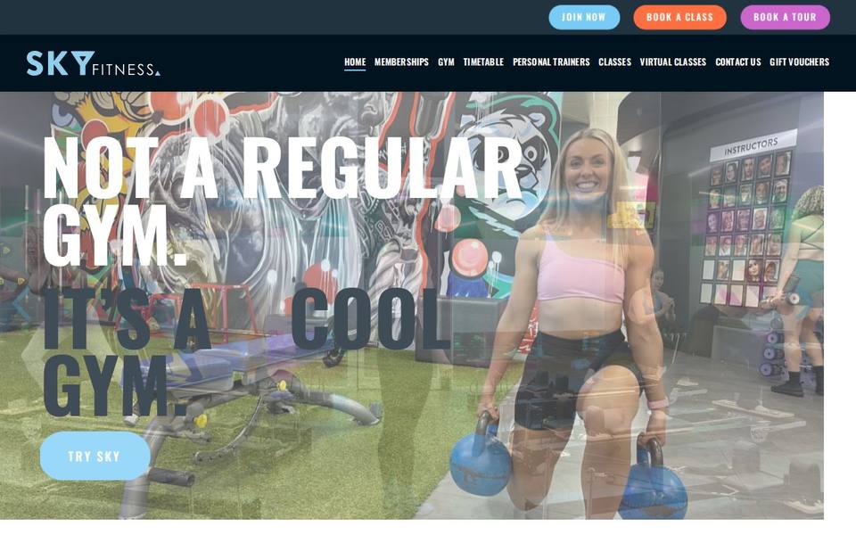 Sky Fitness website